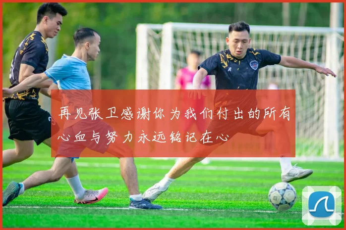 再见张卫感谢你为我们付出的所有心血与努力永远铭记在心