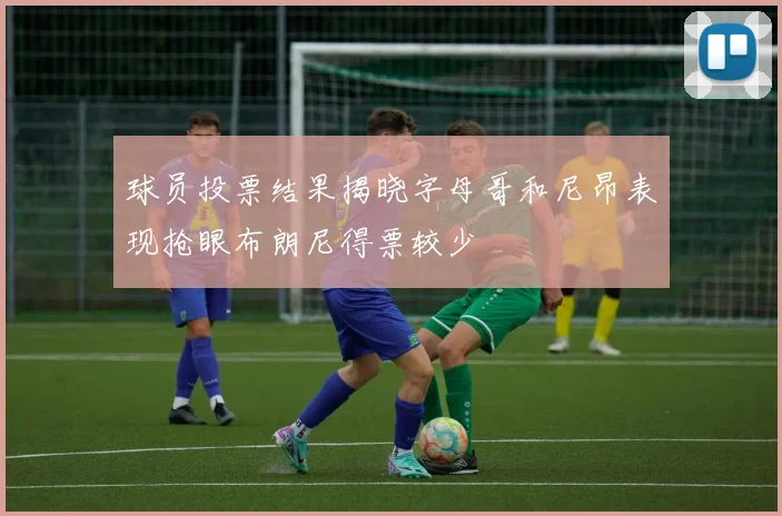 球员投票结果揭晓字母哥和尼昂表现抢眼布朗尼得票较少