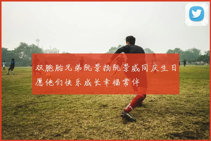 双胞胎兄弟阮景扬阮景威同庆生日愿他们快乐成长幸福常伴